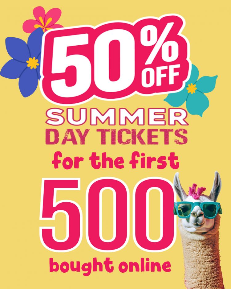 HALF PRICE TICKETS