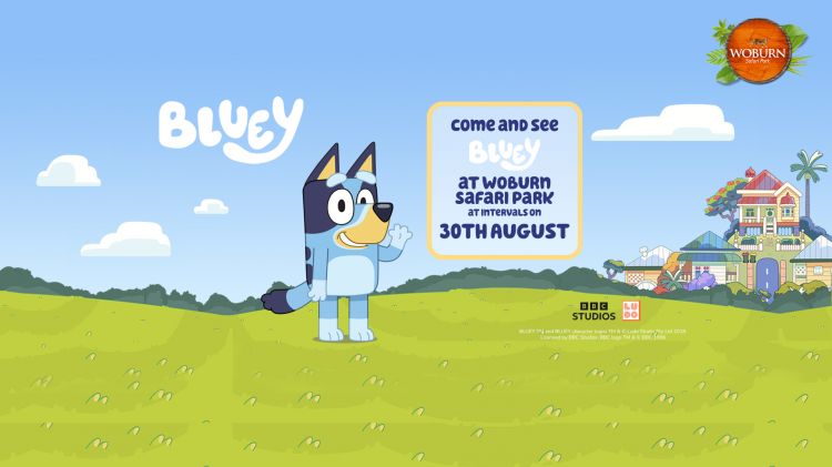 Come along and meet Bluey on the 30th August! 💙🐶 