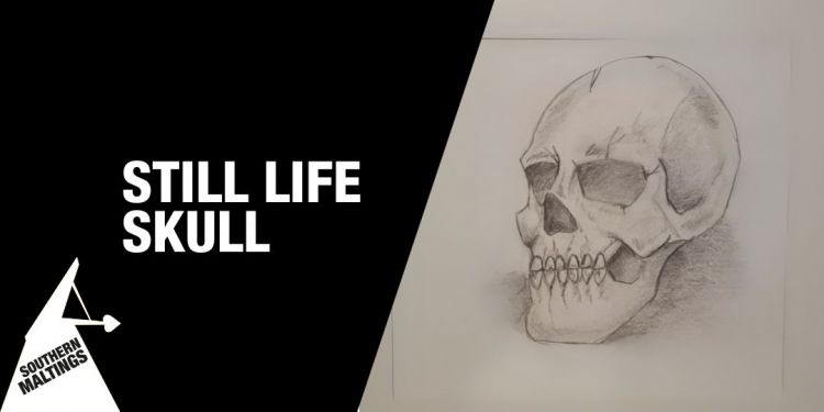 Still Life Skull Drawing Workshop (Age 11 ) – October Half Term Workshops
