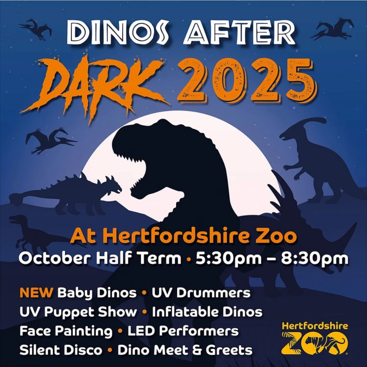 Dinos After Dark