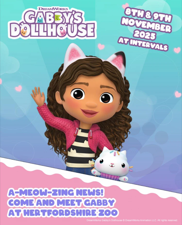 Gabby and Cakey from Gabbys Dollhouse