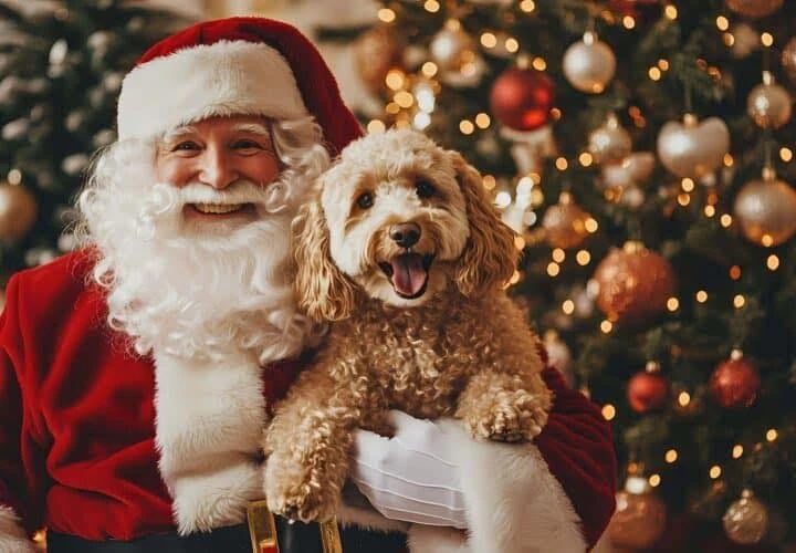 Santa Paws at Capel Manor Gardens