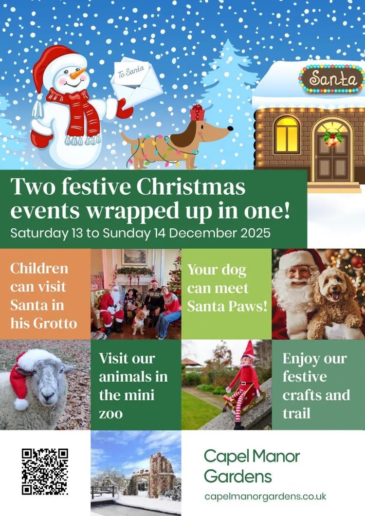 Christmas at Capel Manor Gardens