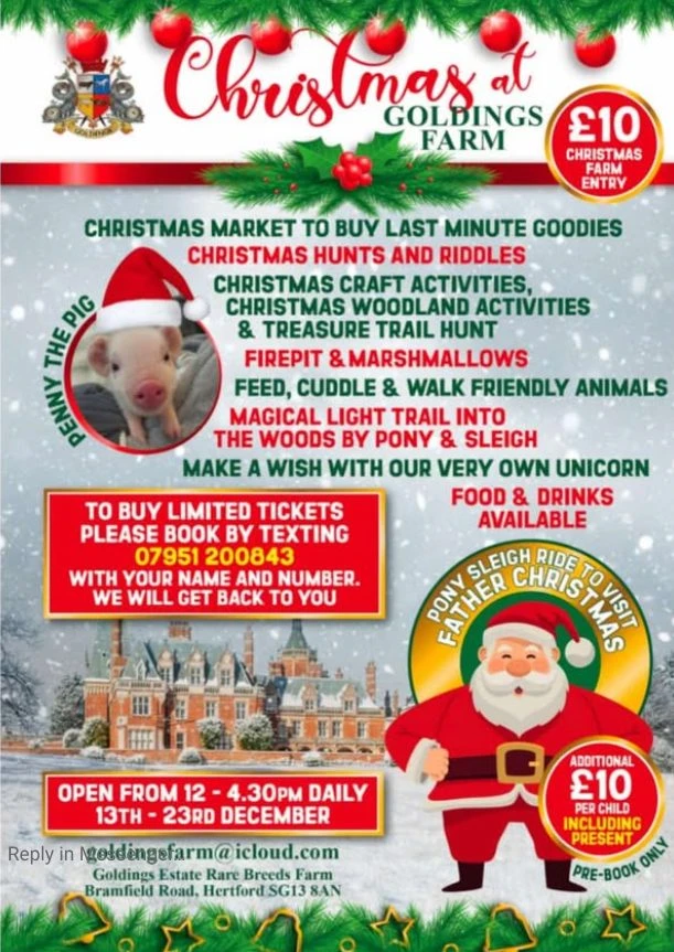 Goldings Farm Christmas Experience