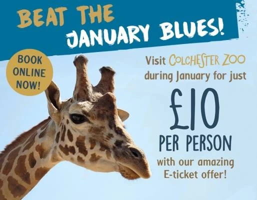 £10 admission to Colchester zoo *