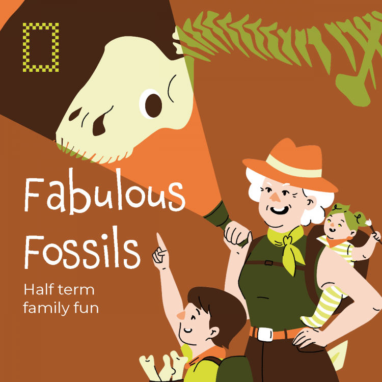 Fabulous Fossils at Royston Museum