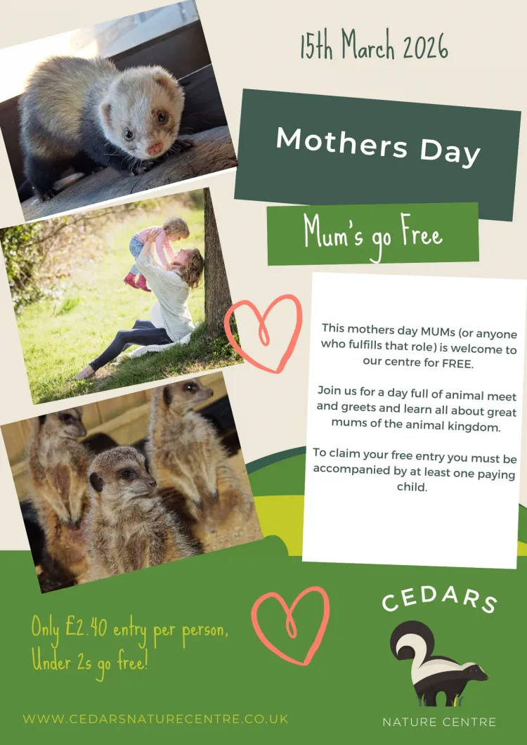 Mum's Go FREE this Mothers Day