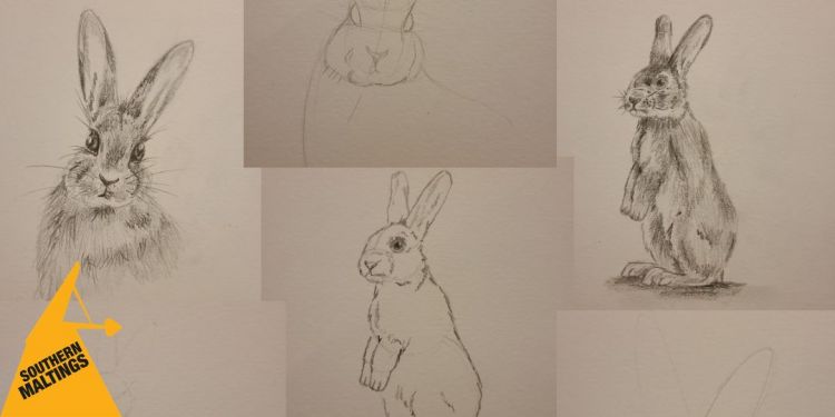 Spring Bunnies Sketching Workshop (Age 8 ) &ndash; Easter Holiday Workshops
