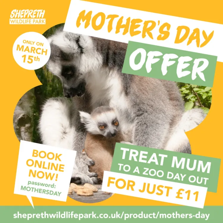 Mother's Day Offer at Shepreth Wildlife Park