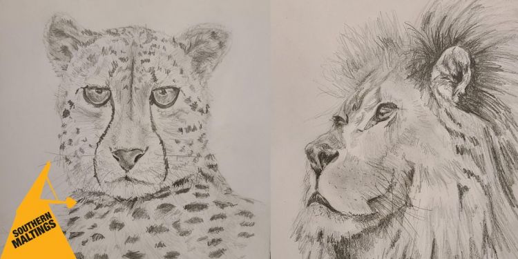 Sketching Big Cats Workshop (Age 8 ) &ndash; May Half Term Workshops