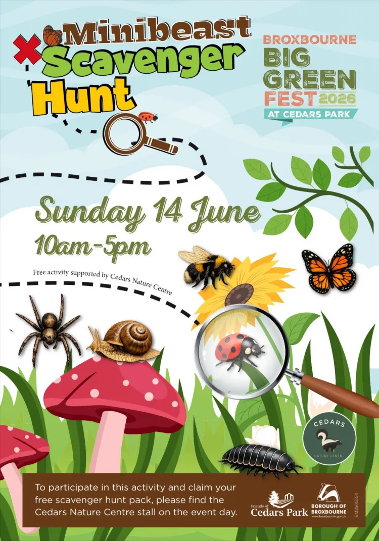 Minibeast scavenger hunt
