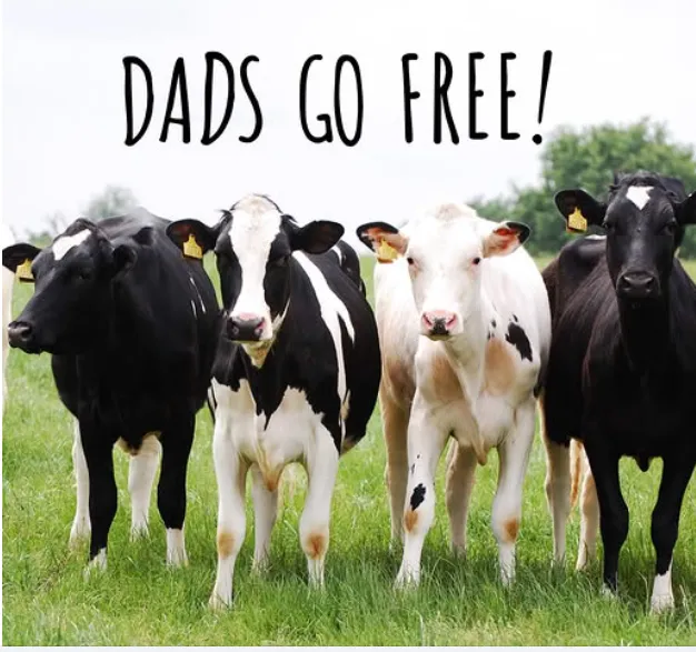 Dads go FREE at Willows Activity Farm
