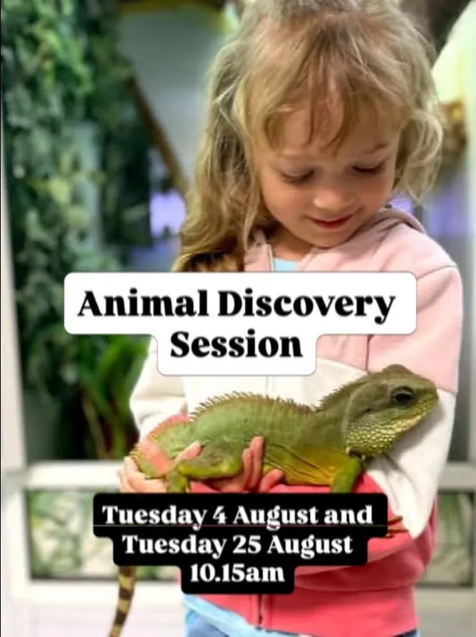 Animal Discovery Session