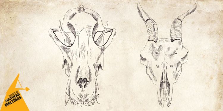 Animal Skull Drawing Workshop (Age 8 ) – October Half Term