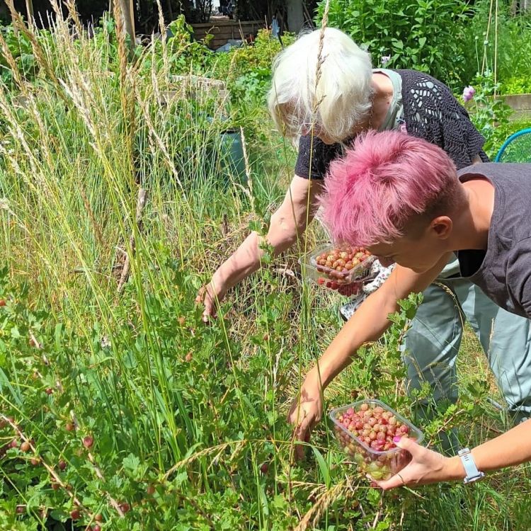 Sunday Garden Club - all welcome!