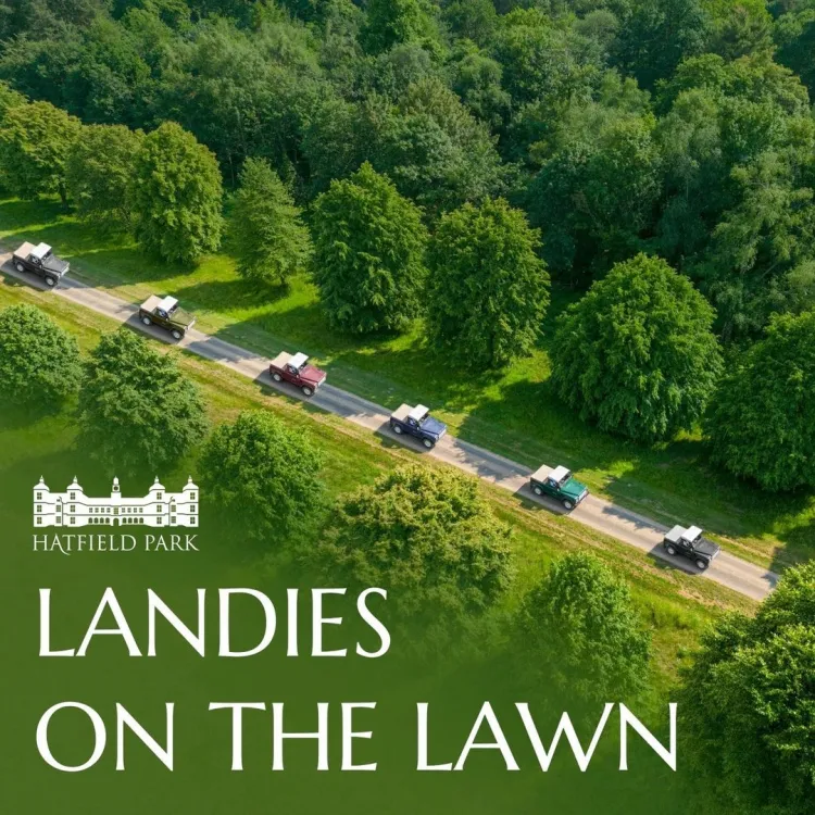 Landies on the Lawn 