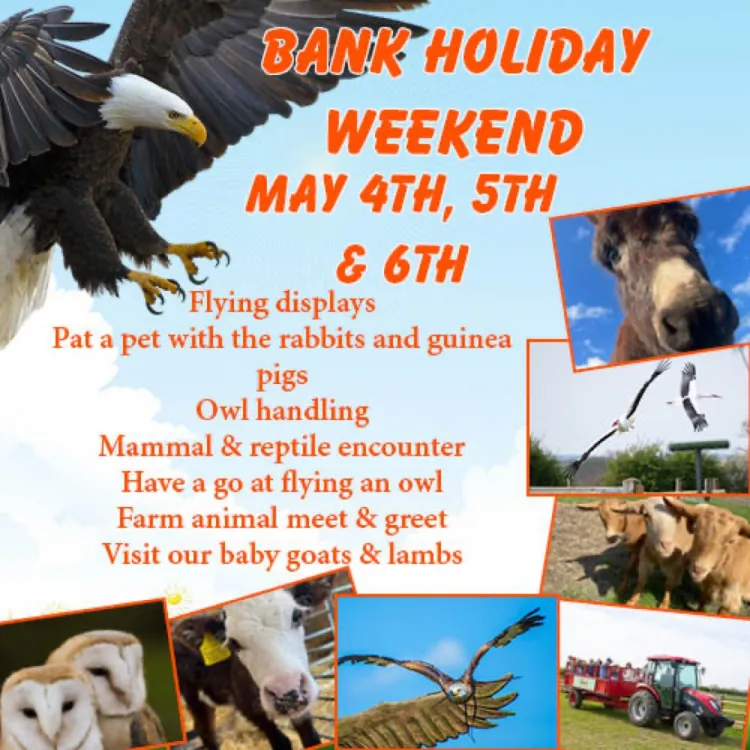 Bank Holiday Weekend at Herrings Green Activity Farm