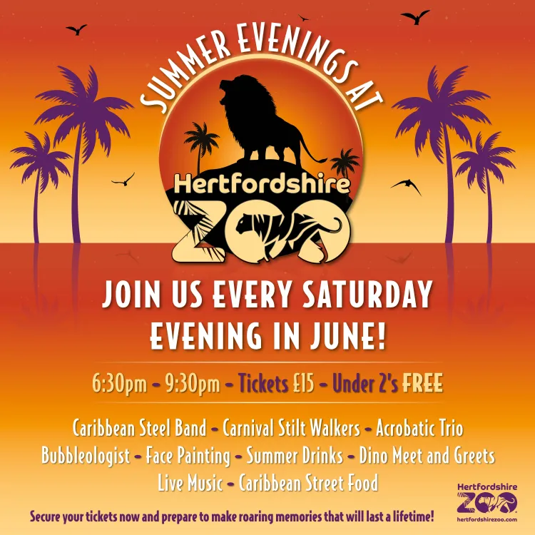 summer evenings at herts zoo