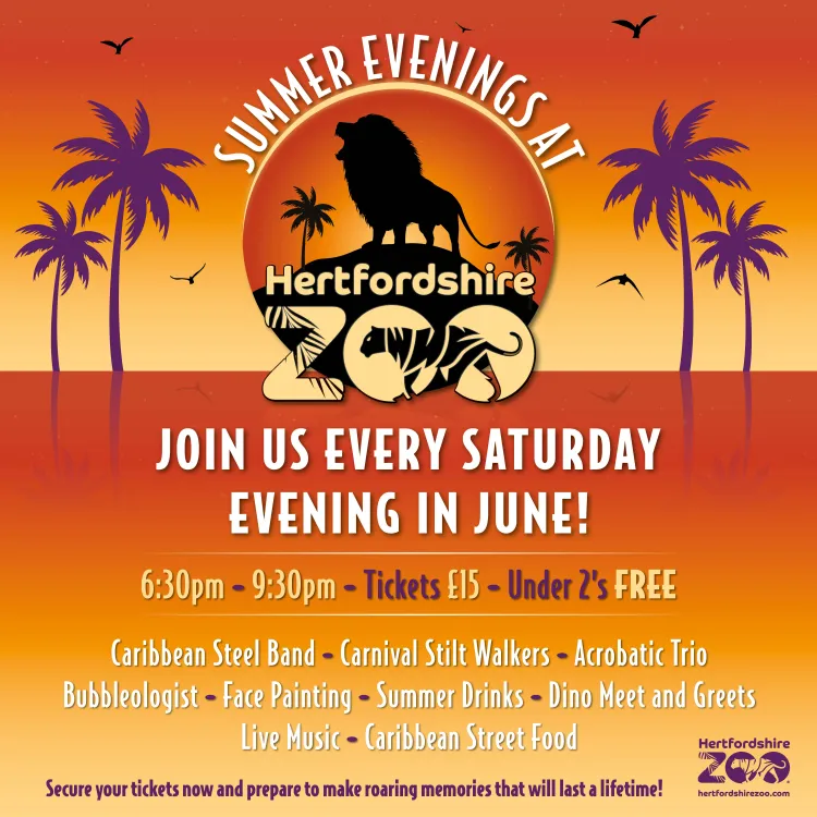 Summer Evenings at Hertfordshire Zoo 15 Jun 2024 Mum's guide to Hitchin
