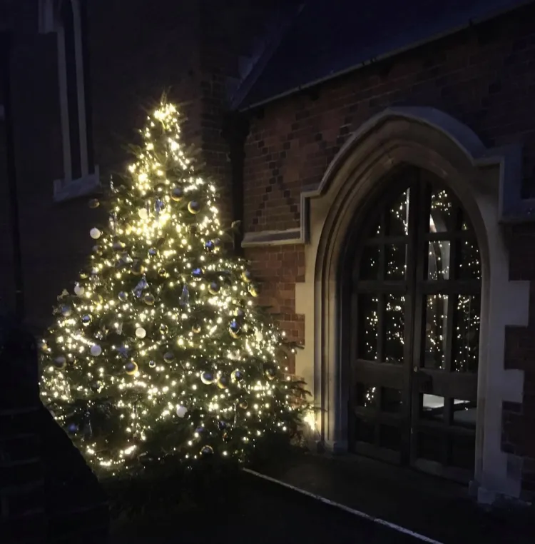 Christmas tree festival 