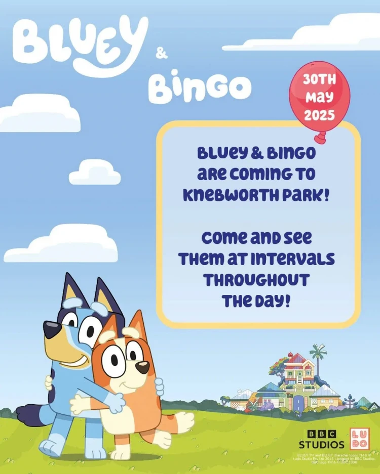 Bluey & Bingo Character Appearance