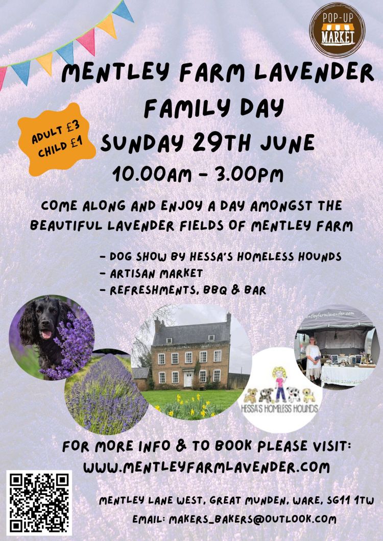 Mentley Farm Lavender Family Day