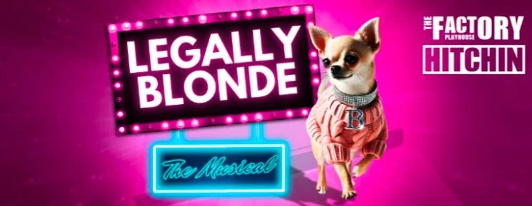 legally blonde