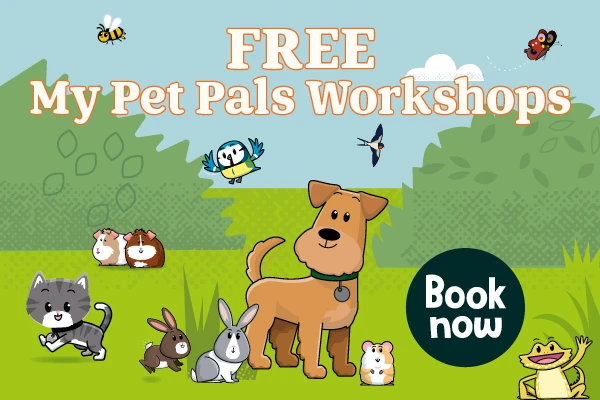 Pets At Home Summer Workshops - Luton