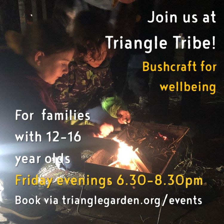 Triangle Tribe - bushcraft for families with teens aged 12-16