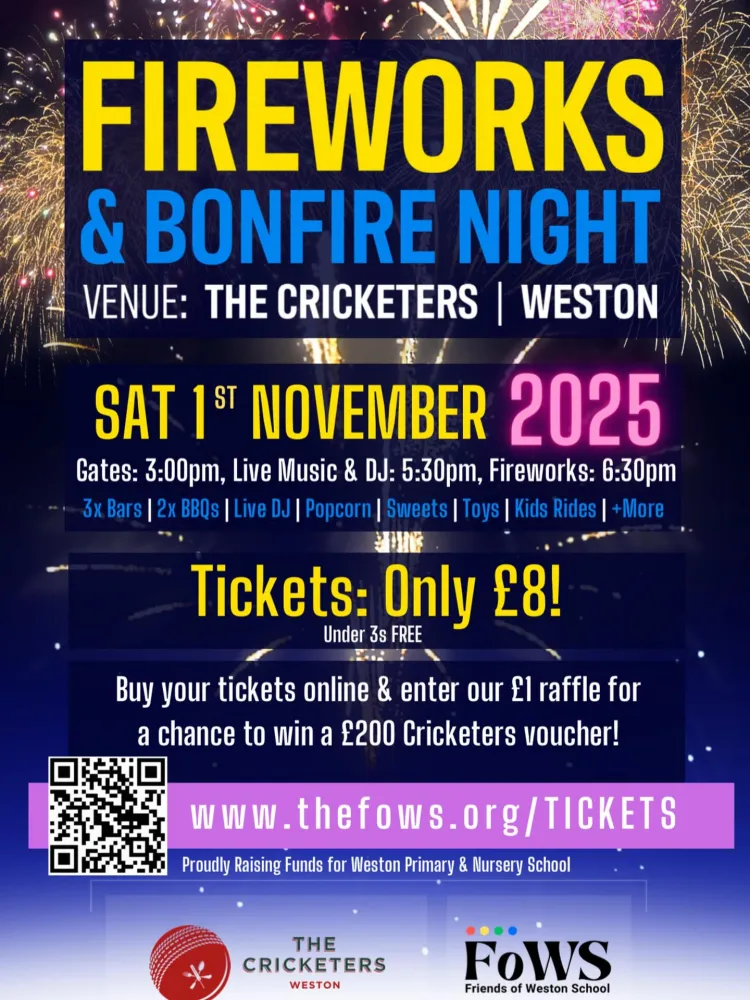 cricketers fireworks