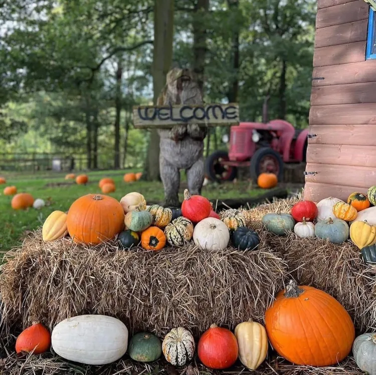 woodland ranch halloween