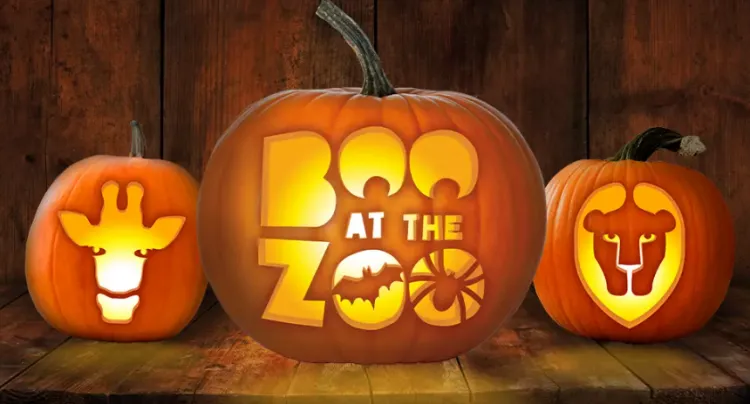 boo at the zoo