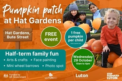 Pumpkin Patch at Hat Gardens