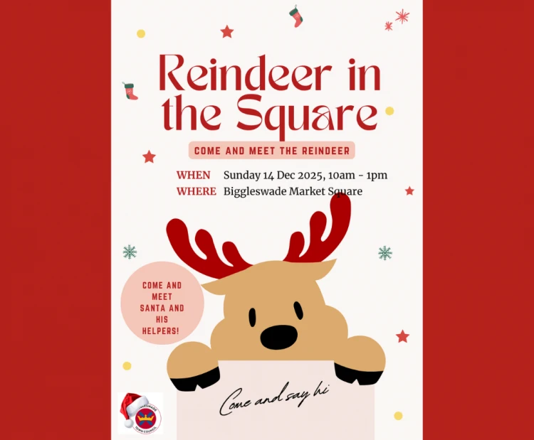 Reindeer in the Square