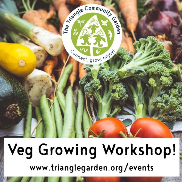 Veg Growing Workshop