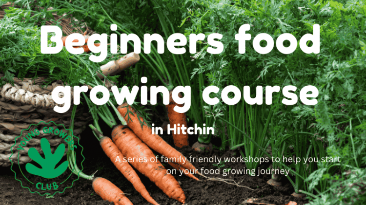 Beginners Food Growing Course (hybrid)