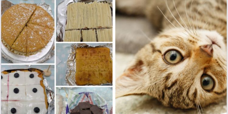 Monthly Coffee Morning to support Cats Protection - North Herts