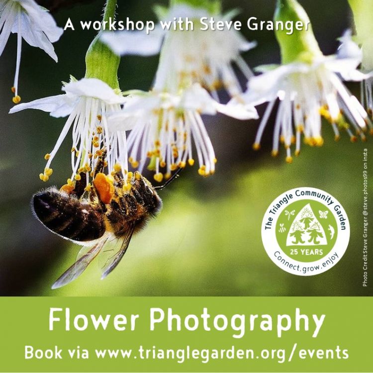 Flower Photogrpahy with Steve Granger