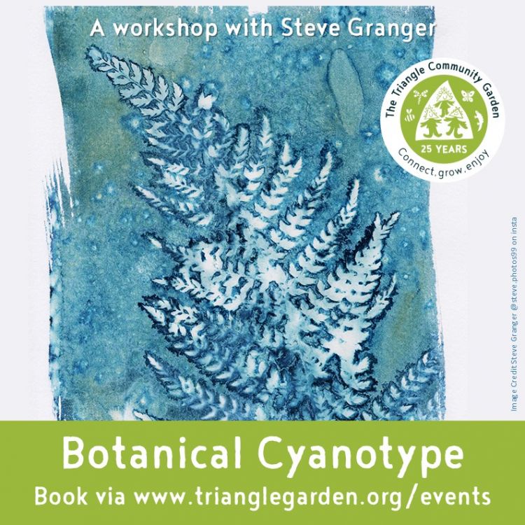 Botanical Cyanotype
