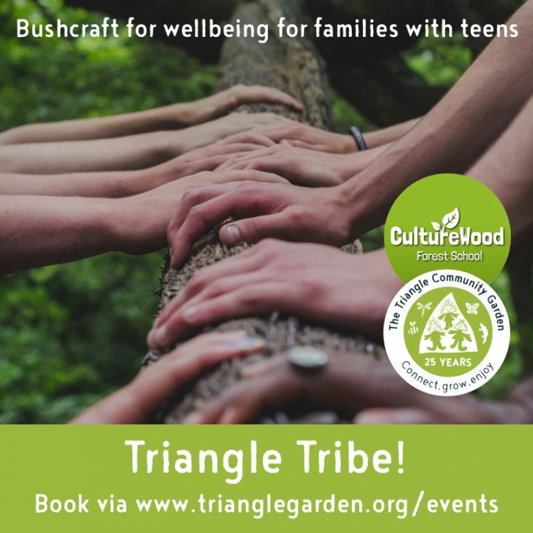 Triangle Tribe - bushcraft for wellbeing for families with teens