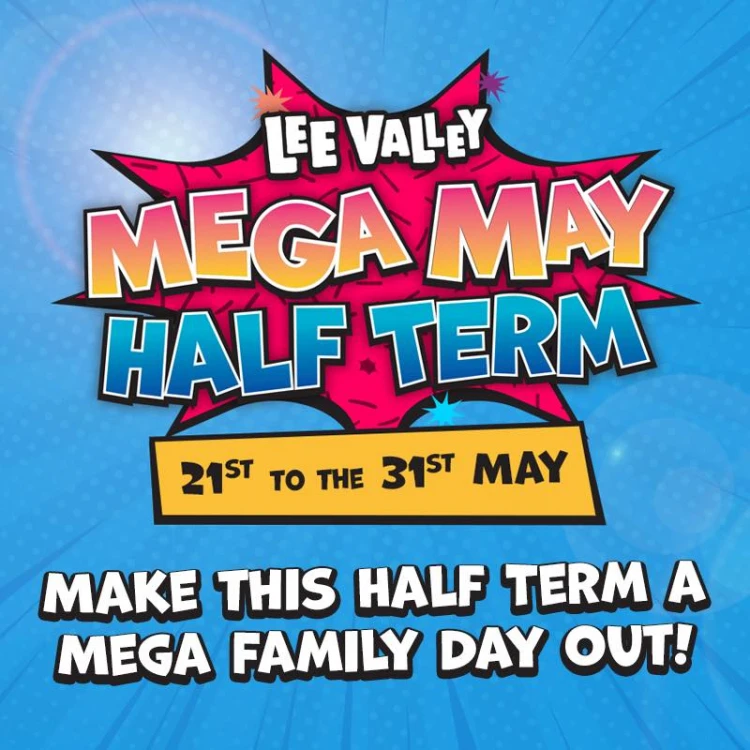 Mega May Half Term