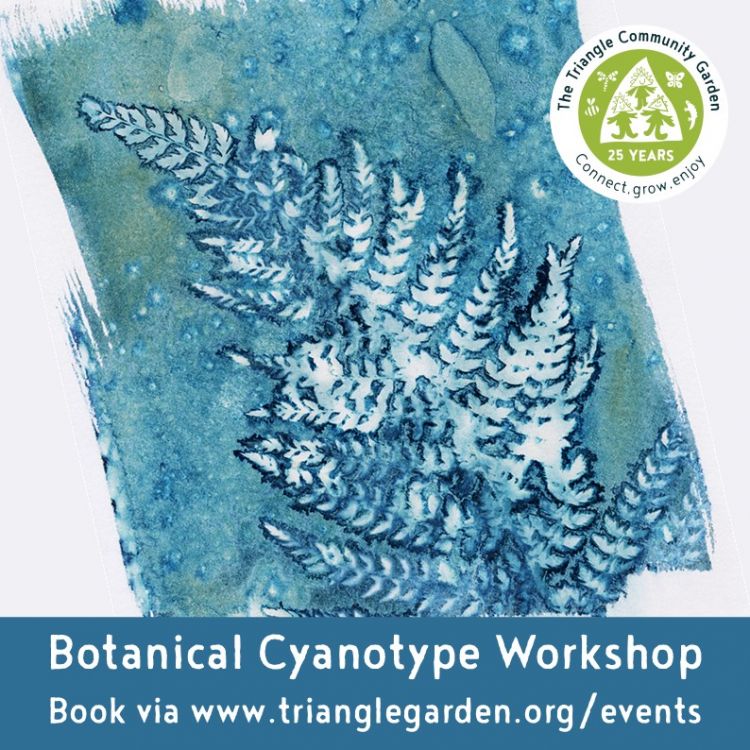 Botanical Cyanotype