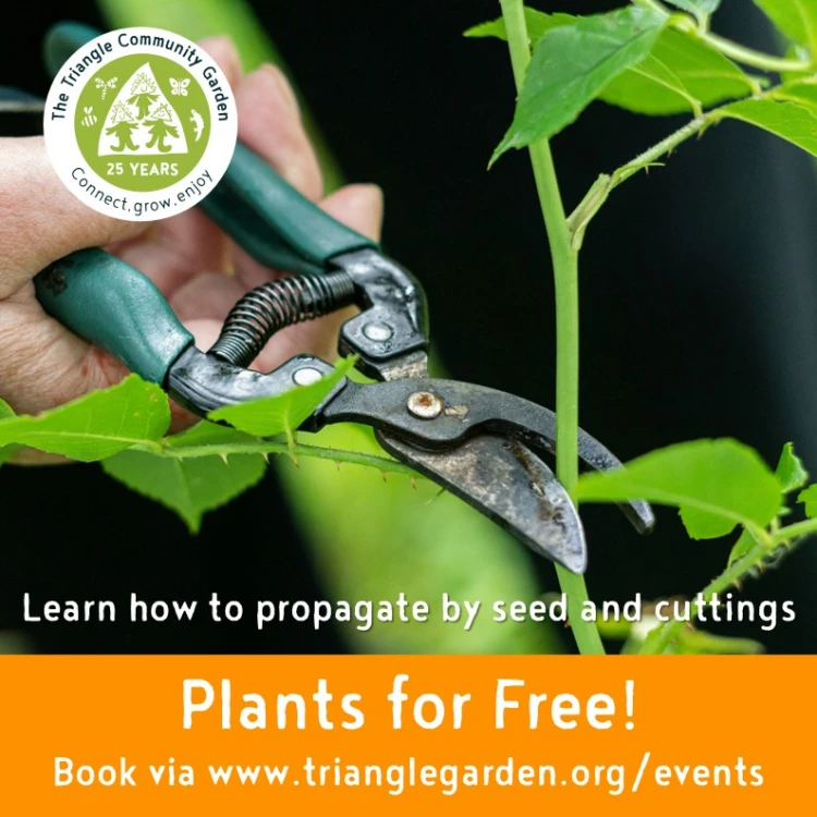 plant for free