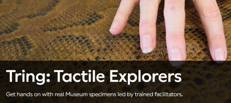 tring tactile explorers