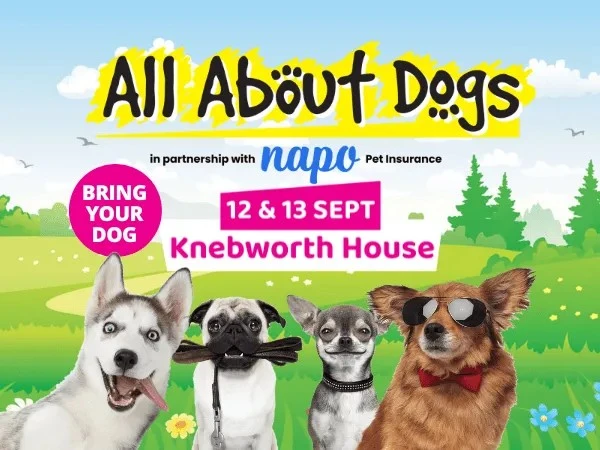 All About Dogs Show