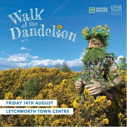 Walk of the Dandelion