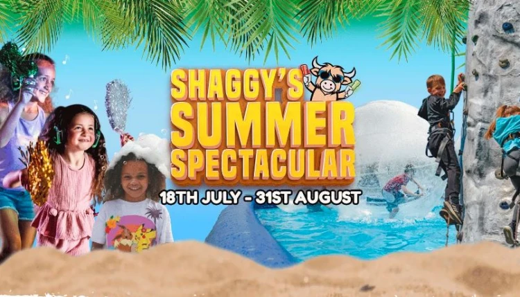 shaggy's summer adventure