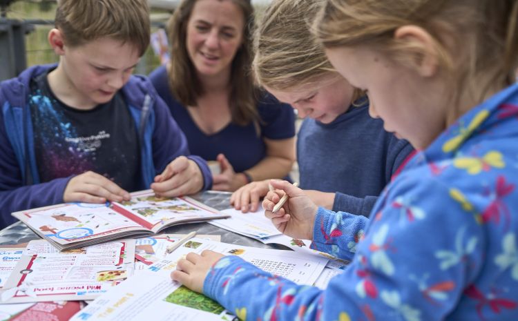The Summertime Senses Trail