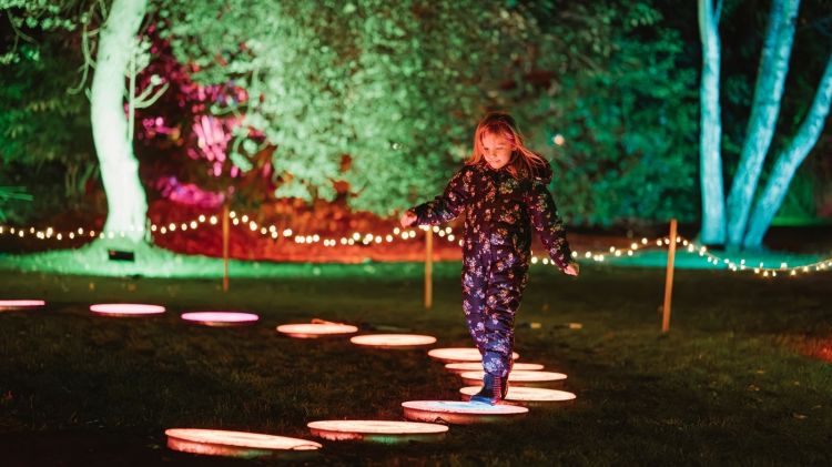 Shuttleworth in Lights