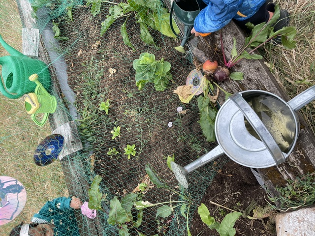 Gardening club (home ed